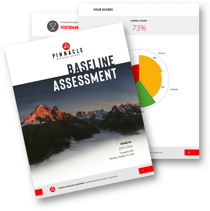 Lead Magnet-mockup Mockup of pages from the Pinnacle Baseline Assesment